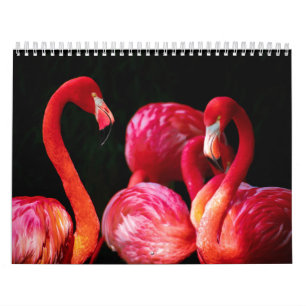 Modernes tropisches Rosa Flamingo Kalender