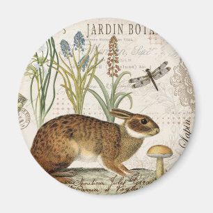 modernes Vintages französisches Kaninchen im Magnet