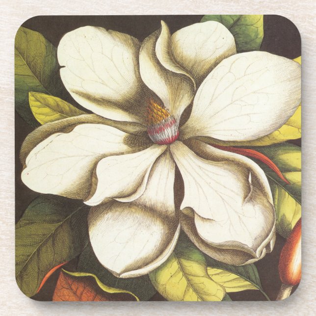 modernes Vintages Magnolie Untersetzer (Vorderseite)