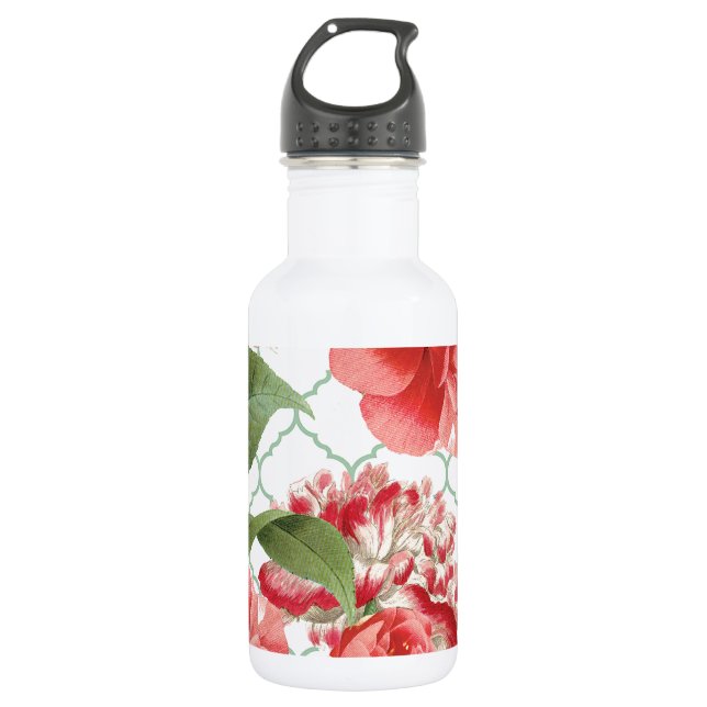 modernes Vintages Peak Trinkflasche (Vorderseite)