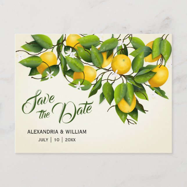 Modernes Vintages Zitronenfrucht | Hochzeitstag sp Postkarte (Vorderseite)