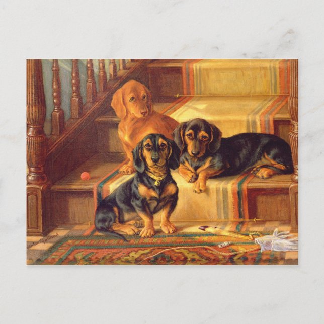 Modische Raffinitäten Postkarte (Vorderseite)