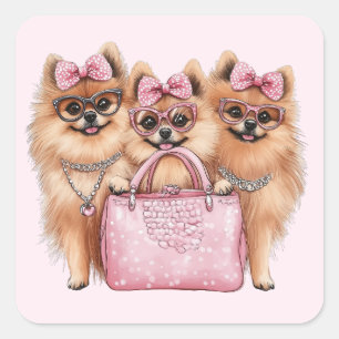 Modische Spitz Hunde rosa Purpur Quadratischer Aufkleber