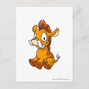 Moehog Orange Postkarte