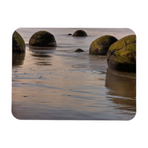 Moeraki-Boulders am Strand Magnet