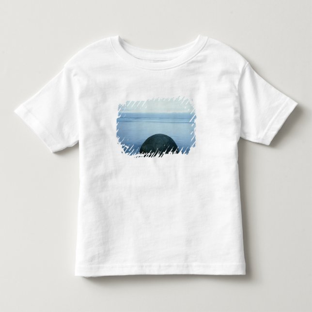 Moeraki Flusssteine Kleinkind T-shirt (Vorderseite)
