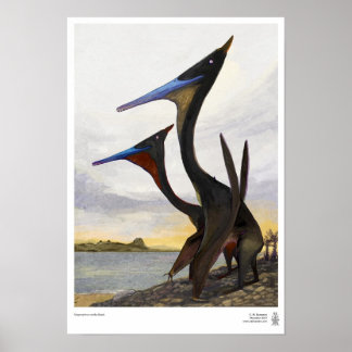 Moganopterus am Strand Poster