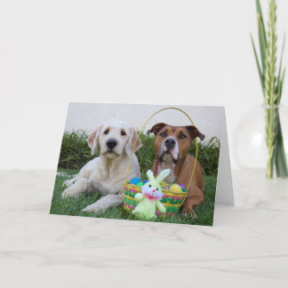 Möge deine Osterkarte Eierkeller sein Feiertagskarte