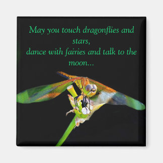 Mögen Sie Touch Dragonfliegen? Magnet