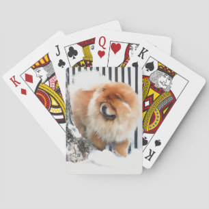 MÖGLICHKEIT heARTdog Chow-Chow Spielkarten