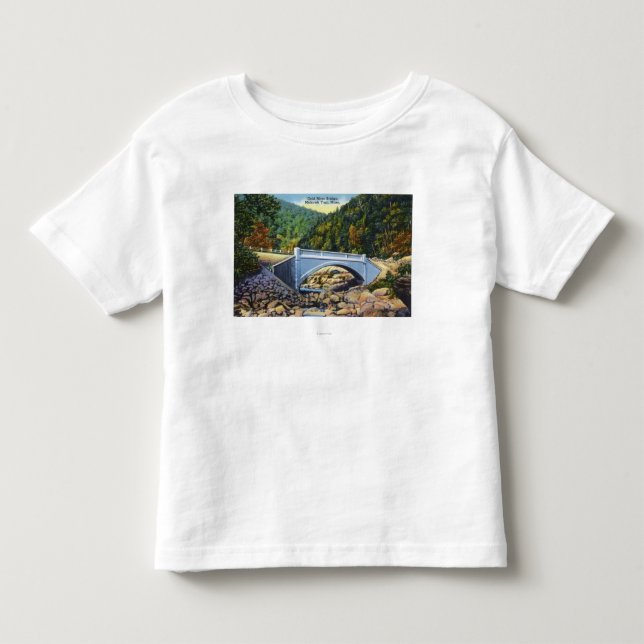 Mohikaner-Hinteransicht der kalten Fluss-Brücke Kleinkind T-shirt (Vorderseite)