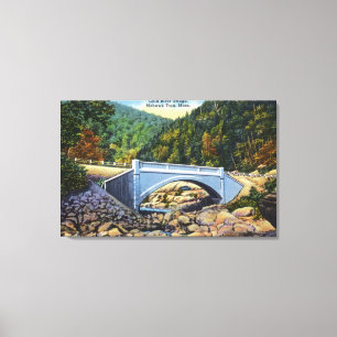 Mohikaner-Hinteransicht der kalten Fluss-Brücke Leinwanddruck