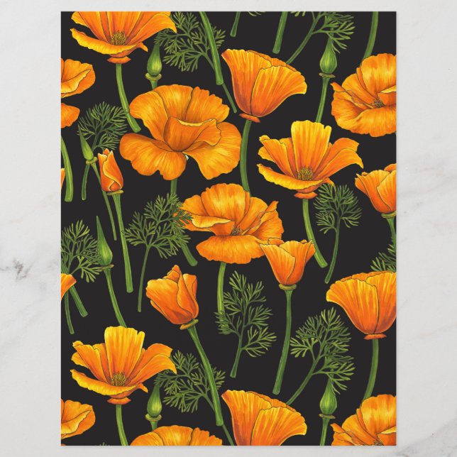 Mohn aus Kalifornien (Vorderseite)