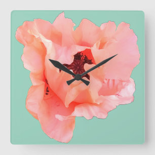 Mohn aus Single Quadratische Wanduhr