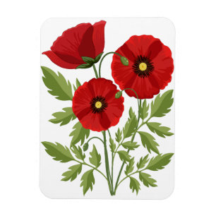 Mohn blüht fröhlich Sommer Blume Magnet