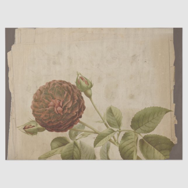 Mohn-Blume auf "Not Decoupage" Seidenpapier (Vorderseite)