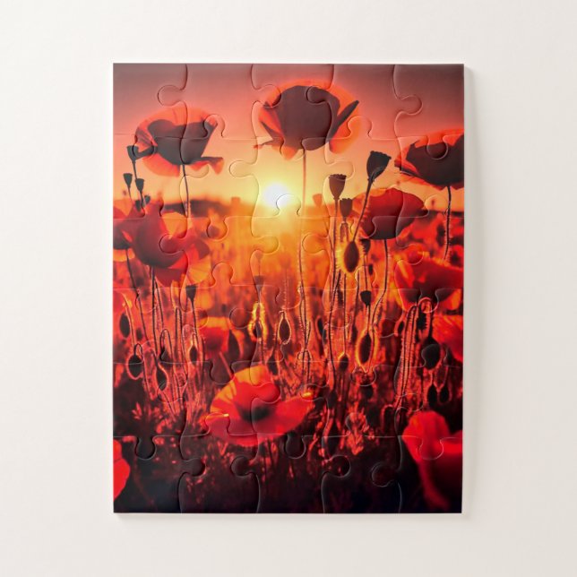 Mohn im Gegenlicht (Vertikal)