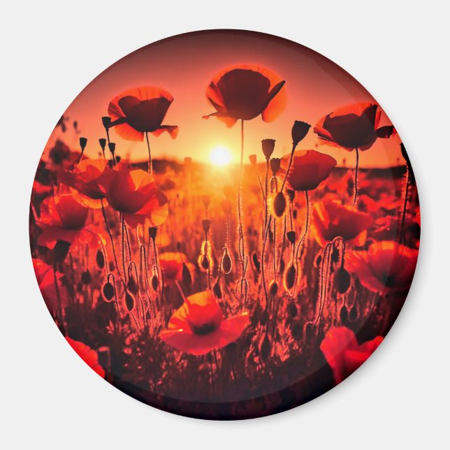 Mohn im Gegenlicht Magnet (Vorne)
