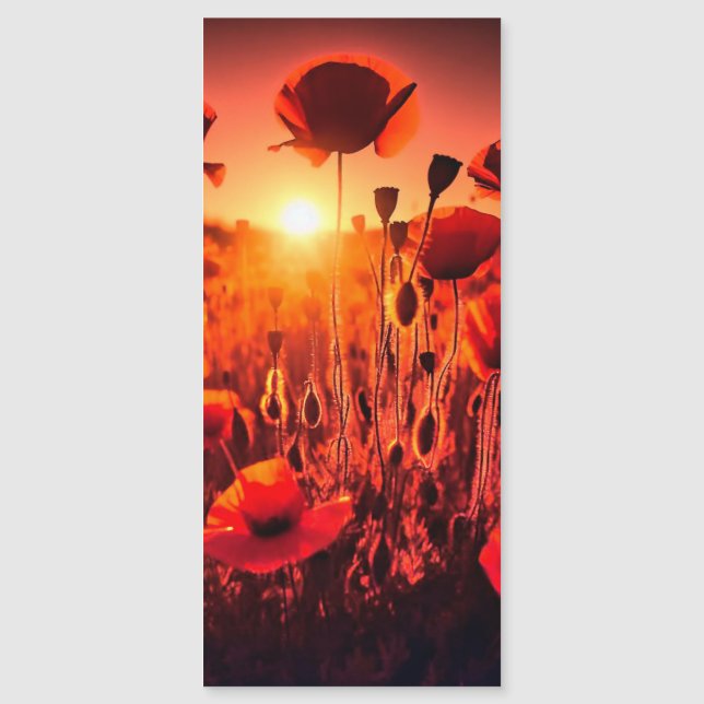 Mohn im Gegenlicht Magnetkarte (Vorderseite)