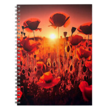 Mohn im Gegenlicht