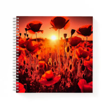 Mohn im Gegenlicht