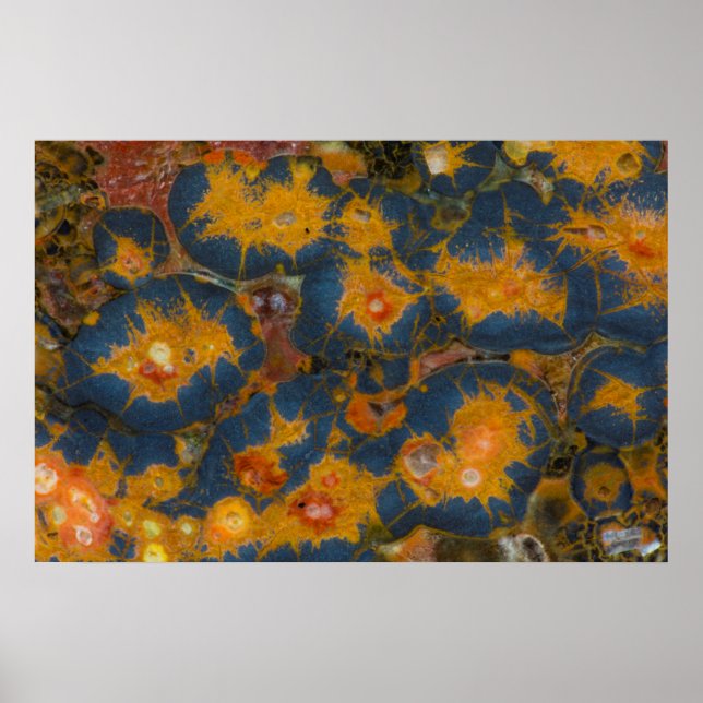 Mohn-Jasper Poster (Vorne)