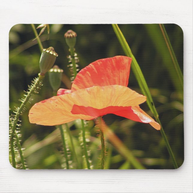 Mohn-Mauspad Mousepad (Vorne)