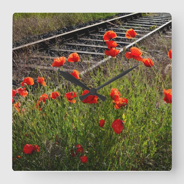 Mohn Quadratische Wanduhr (Vorderseite)