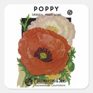 Mohn Quadratischer Aufkleber