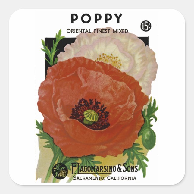 Mohn Quadratischer Aufkleber (Vorderseite)