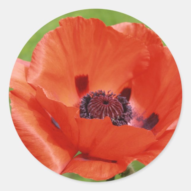 Mohn Runder Aufkleber (Vorderseite)