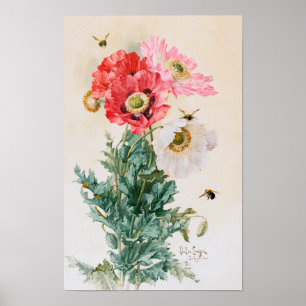 Mohn und Bienen von Paul de Longpré Poster