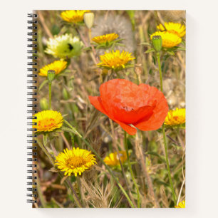 Mohn und gelbe Gänseblümchen Notizbuch