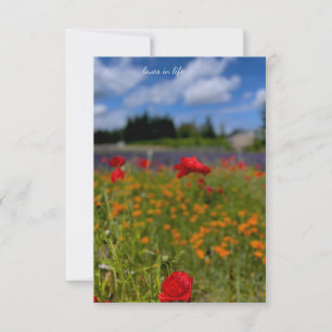 Mohn- und Lavendelfeld Mitteilungskarte