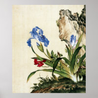 Mohn und Schmetterling Blume Kunst und Kultur
