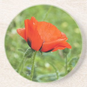 Mohn-Unterlage Getränkeuntersetzer