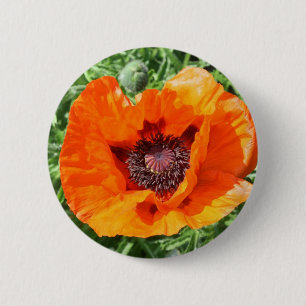 Mohnblume Button
