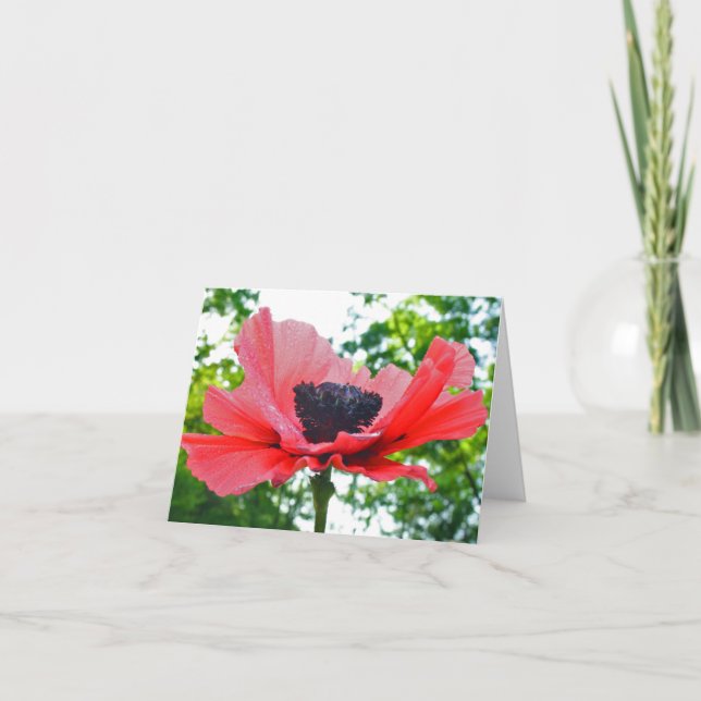 Mohnblume leeres Notecard Karte (Vorderseite)