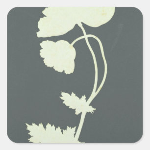 Mohnblume Quadratischer Aufkleber