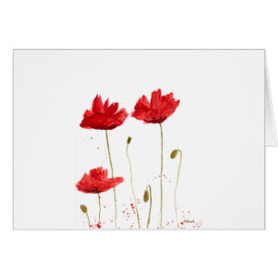 Mohnblumen
