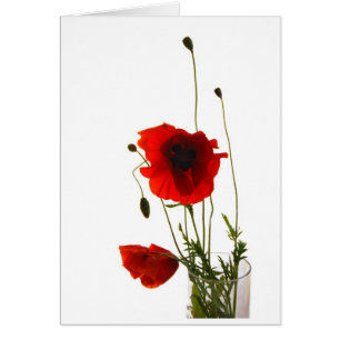 Mohnblumen