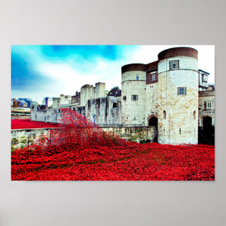 Mohnblumen am Tower Of London Rote Mohnblume Poster