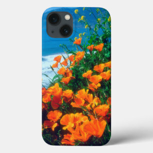 Mohnblumen an der Pazifikküste bei Big Sur Case-Mate iPhone Hülle