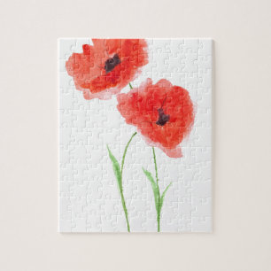 Mohnblumen Blume Natur Schöne Wasserfarbe