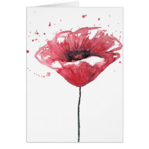 Mohnblumen-Blume, Watercolor