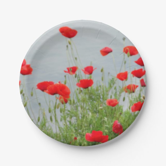 Mohnblumen-Blumen-Foto-kundenspezifischer Pappteller (Vorderseite)