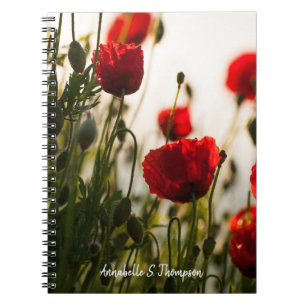 Mohnblumen-Blumen/personalisiert Notizblock