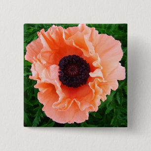 Mohnblumen-Blumen-Quadrat-Button Button
