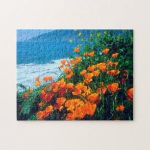 Mohnblumen entlang der Pazifikküste bei Big Sur