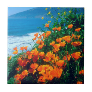 Mohnblumen entlang der Pazifikküste bei Big Sur Fliese